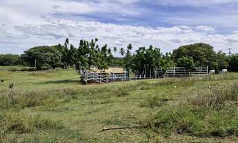 Imagem 5: Terreno 39.000 m²