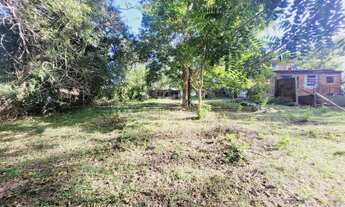 Imagem 4: Terreno 20x80, 1600M² de Área Total na Rua Pinheiro-brasileiro