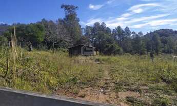 Imagem 2: 2ha próximo a Paraíso, açude com peixes, casa simples