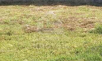 Imagem: Terreno à venda Pé de Plátano Santa Maria/RS