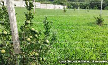 Imagem 3: Terreno em Condomínio fechado