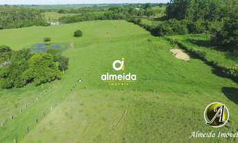 Imagem 6: Chácara com 6,2 ha