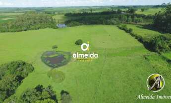 Imagem 2: Chácara com 6,2 ha