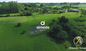 Imagem 4: Chácara com 6,2 ha