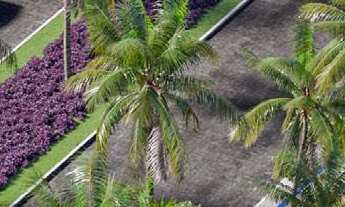 Imagem: TERRENO RESIDENCIAL em BARRA DOS COQUEIROS