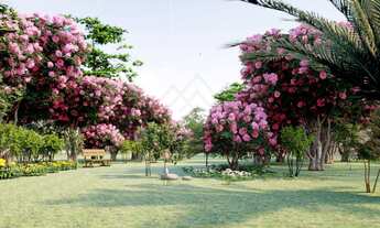 Imagem 2: Oportunidade imperdível lançamento - Lotes Villa Esplendor!