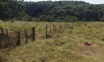 Imagem 7: Oportunidade! Sitio Rural para a Venda com 2 Alqueires