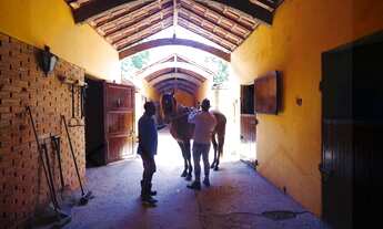 Imagem 2: HARAS COMERCIAL em SALTO - SP, BOA VISTA