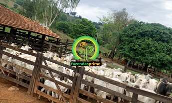 Imagem: Fazenda a venda em Nova Glória / Goiás