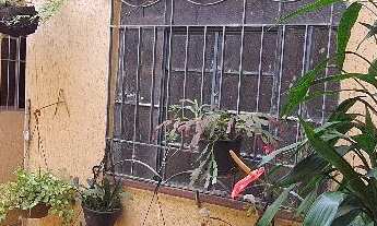 Imagem 3: CASA TÉRREA COM 2 DORMITÓRIOS, SALA AMPLA , BANHEIRO, COZINHA, LAVANDERIA, CÔMODO EXTERNO