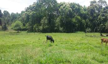 Imagem: Chácara de luxo à venda em Atibaia-SP