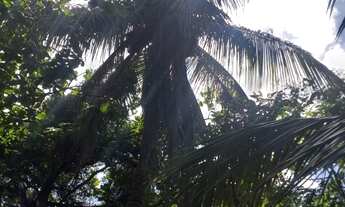 Imagem 5: Praia grande, fundão es