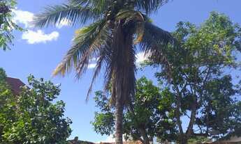 Imagem 3: Praia grande, fundão es