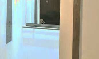 Imagem 6: Apartamento à venda em Tucuruvi com 28 m², 1 quarto