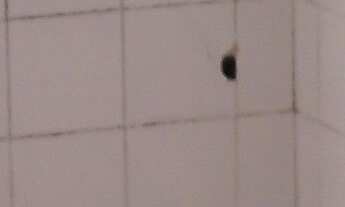 Imagem 3: Apartamento à venda em Campos Elísios com 42 m², 1 quarto