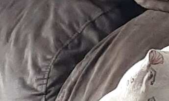 Imagem 5: Apartamento à venda em Jabaquara com 38 m², 2 quartos