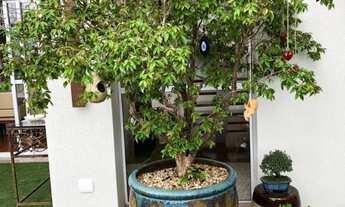 Imagem 6: Apartamento à venda em Vila Andrade com 320 m², 3 quartos, 3 suítes, 4 vagas