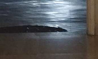 Imagem 6: Apartamento à venda em Liberdade com 65 m², 2 quartos, 1 vaga