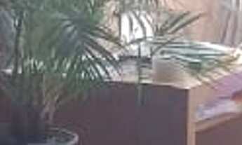 Imagem: Apartamento à venda em Bela Vista com 113