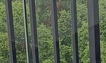 Imagem 4: Apartamento à venda em Bela Vista com 26 m², 1 quarto