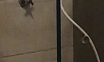 Imagem 2: Apartamento à venda em Bela Vista com 60 m², 1 quarto