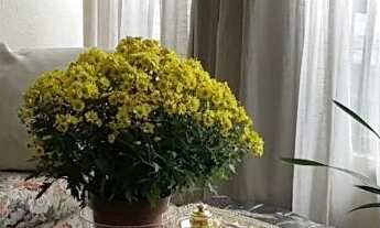 Imagem 6: Apartamento à venda em Sumaré com 142 m², 3 quartos, 1 vaga