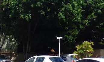 Imagem 4: Venda Apartamento com 2 dormitórios