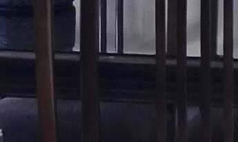 Imagem 4: Apartamento à venda em Tremembé com 70 m², 1 vaga