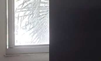 Imagem 7: Apartamento à venda em Jaraguá com 47 m², 2 quartos, 1 vaga