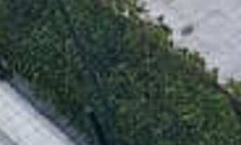 Imagem 7: Apartamento à venda em Vila Leopoldina com 170 m², 4 quartos, 3 suítes, 2 vagas