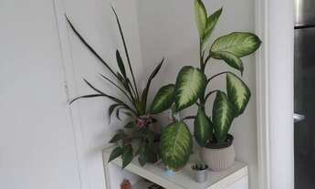 Imagem 7: Apartamento à venda em Morumbi com 42 m², 2 quartos, 1 vaga