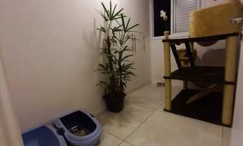 Imagem 4: Apartamento à venda em Vila Matilde com 55 m², 2 quartos, 1 vaga