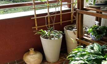 Imagem 5: Apartamento à venda em Jaguaré com 73 m², 3 quartos, 1 suíte, 2 vagas