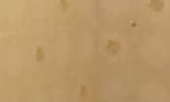 Imagem 4: Apartamento à venda em República com 36 m², 1 quarto