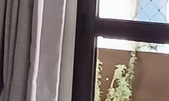 Imagem: Apartamento à venda em Bosque da Saúde