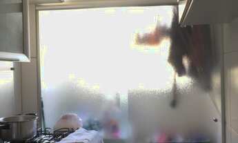 Imagem 7: Apartamento à venda em Vila Prudente com 53 m², 2 quartos, 1 vaga