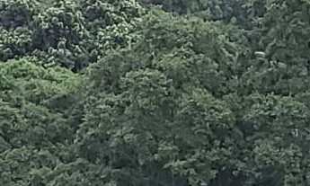 Imagem 5: Apartamento à venda em Higienópolis com 145 m², 3 quartos, 1 suíte, 1 vaga