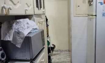 Imagem 3: Apartamento à venda em Capão Redondo com 54 m², 2 quartos, 1 vaga