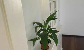 Imagem 3: Apartamento à venda em Morumbi com 90 m², 3 quartos, 1 suíte, 1 vaga