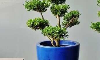 Imagem 6: Apartamento à venda em República com 27 m², 1 quarto, 1 vaga