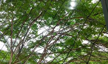 Imagem 4: Apartamento à venda em Vila Formosa com 68 m², 3 quartos