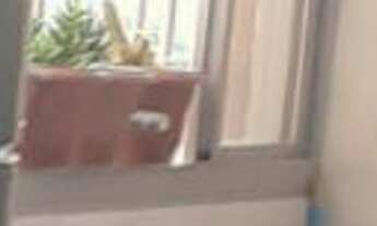 Imagem 7: Apartamento à venda em Bom Retiro com 59 m², 1 quarto