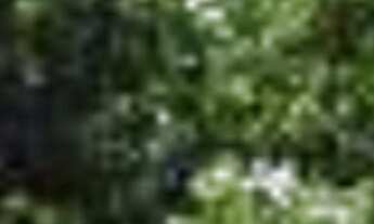 Imagem 4: Apartamento à venda em Bela Vista com 60 m², 1 quarto