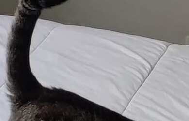 Imagem 13: Apartamento à venda em Alto da Lapa com 62 m², 2 quartos, 1 suíte, 2 vagas