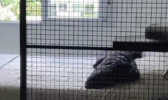 Imagem 7: Apartamento à venda em Aclimação com 74 m², 2 quartos, 1 suíte, 2 vagas