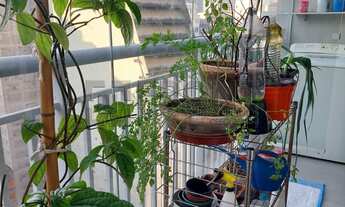 Imagem 2: Apartamento à venda em República com 43 m², 1 quarto, 1 suíte, 1 vaga