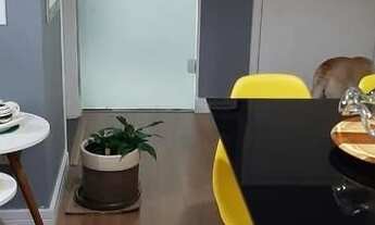 Imagem 4: Apartamento à venda em Aricanduva com 47 m², 2 quartos