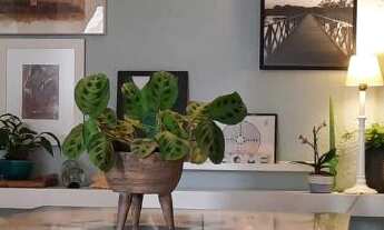 Imagem 3: Venda Apartamento com 3 dormitórios