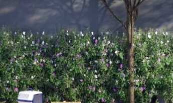 Imagem 4: Apartamento à venda em Brooklin com 33 m², 2 quartos, 1 vaga