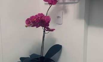 Imagem 5: Apartamento à venda em Bela Vista com 35 m², 1 quarto